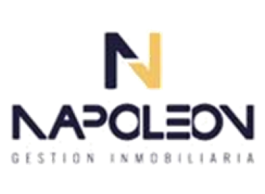 Logo Napoleon